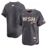 Camiseta Beisbol Hombre Washington Nationals City Connect Limited Gris